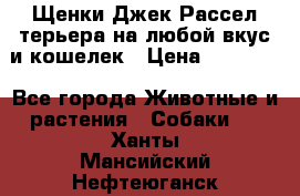 Щенки Джек Рассел терьера на любой вкус и кошелек › Цена ­ 13 000 - Все города Животные и растения » Собаки   . Ханты-Мансийский,Нефтеюганск г.